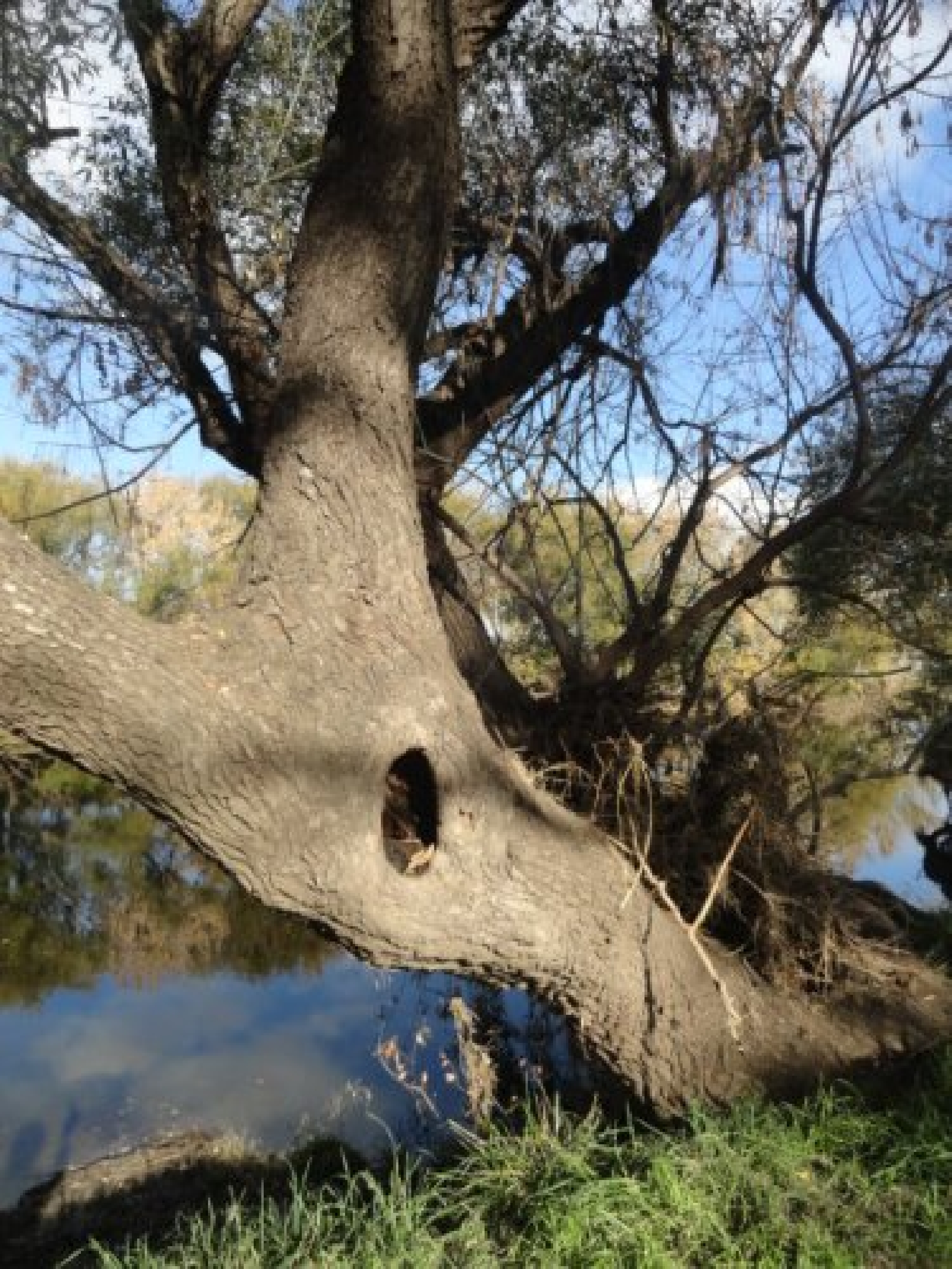 Fotos de Sierra de la Ventana