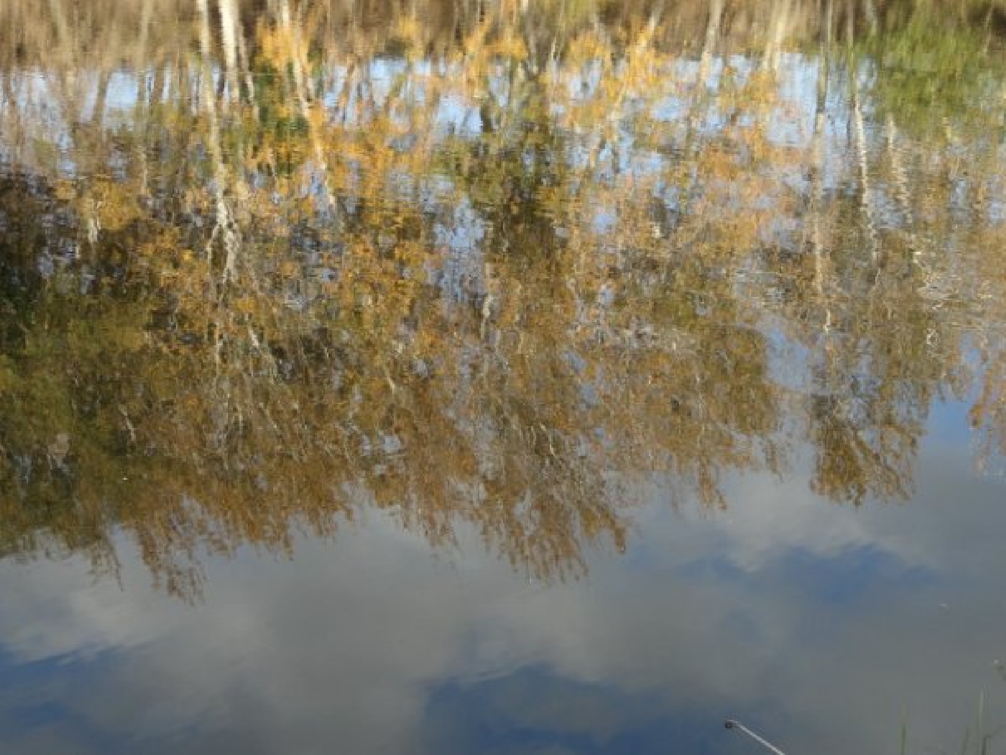 Fotos de Sierra de la Ventana