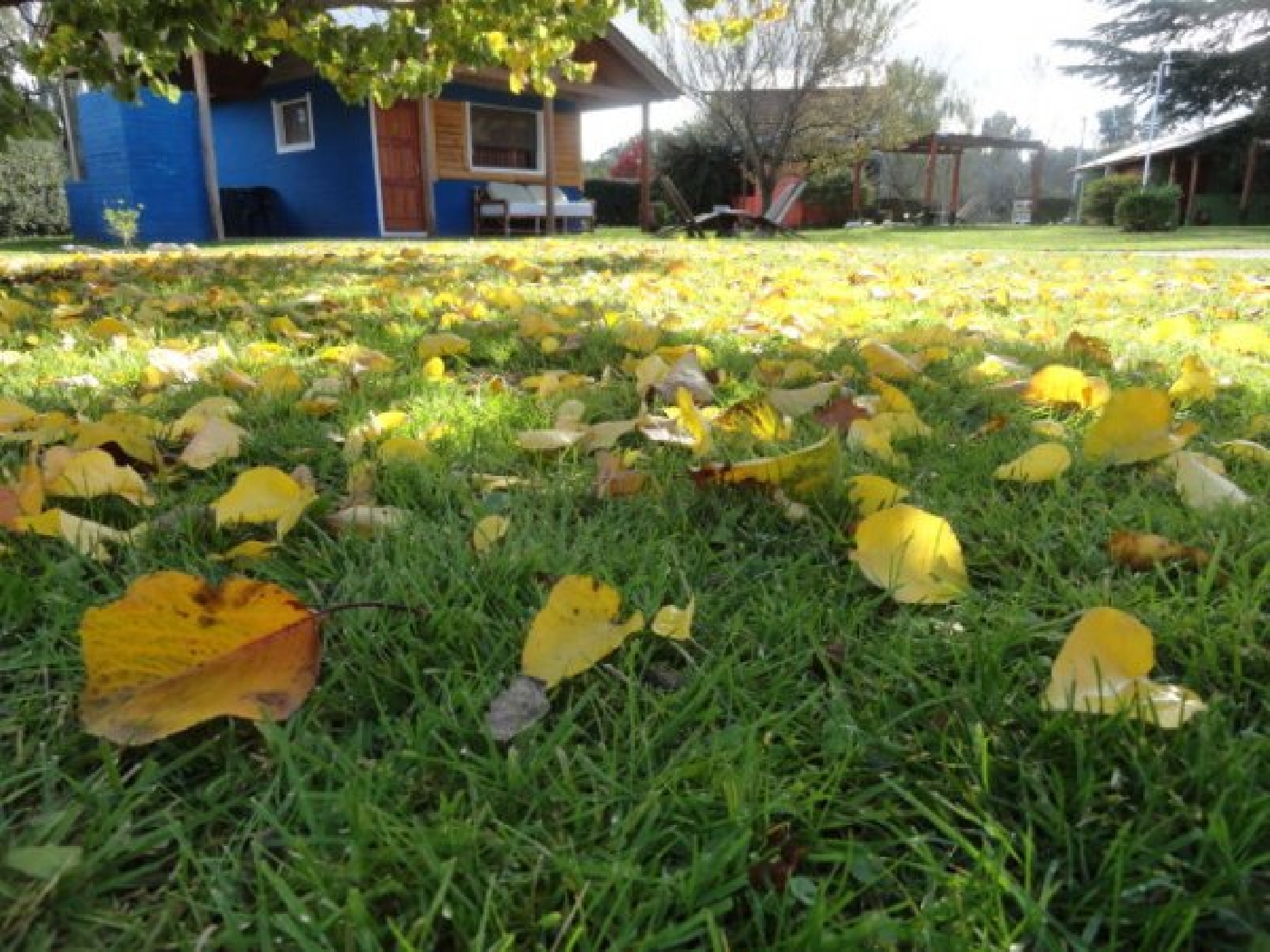 Fotos de Sierra de la Ventana