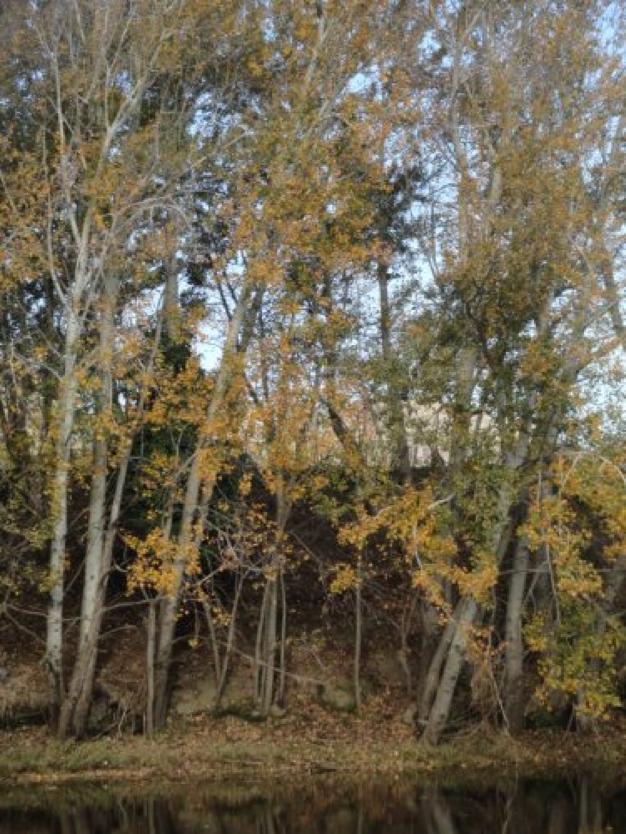 Fotos de Sierra de la Ventana