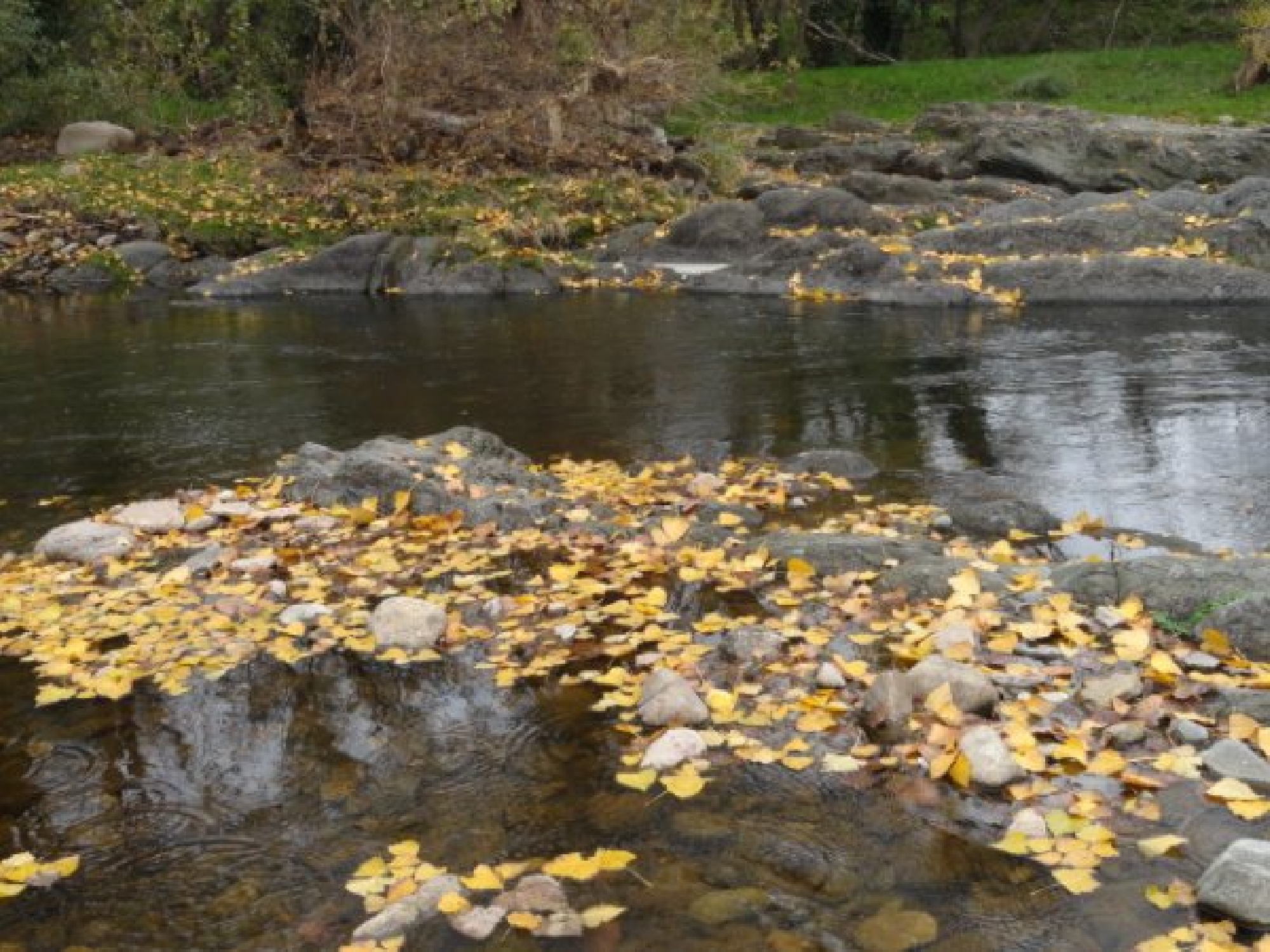 Fotos de Sierra de la Ventana