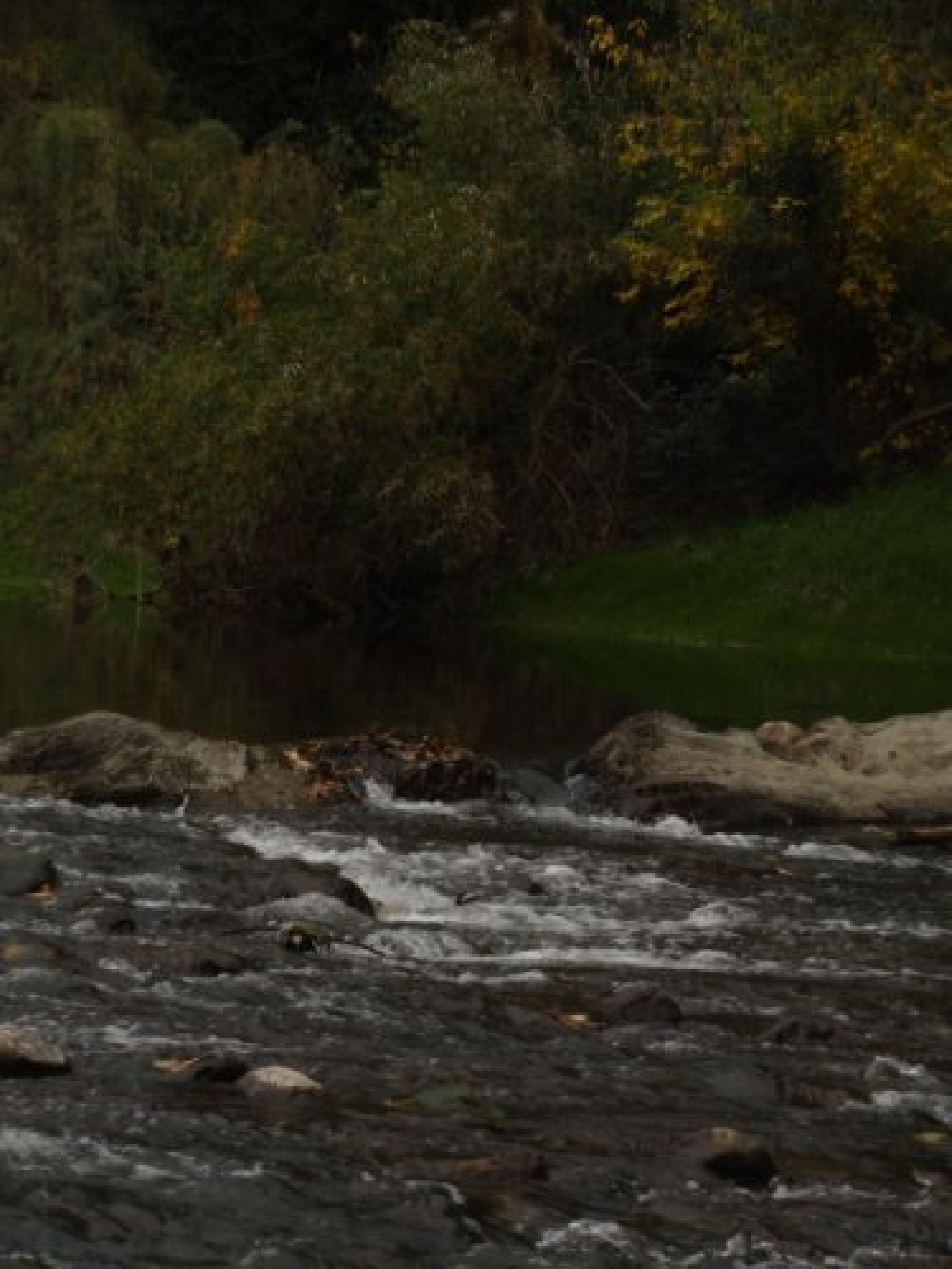 Fotos de Sierra de la Ventana