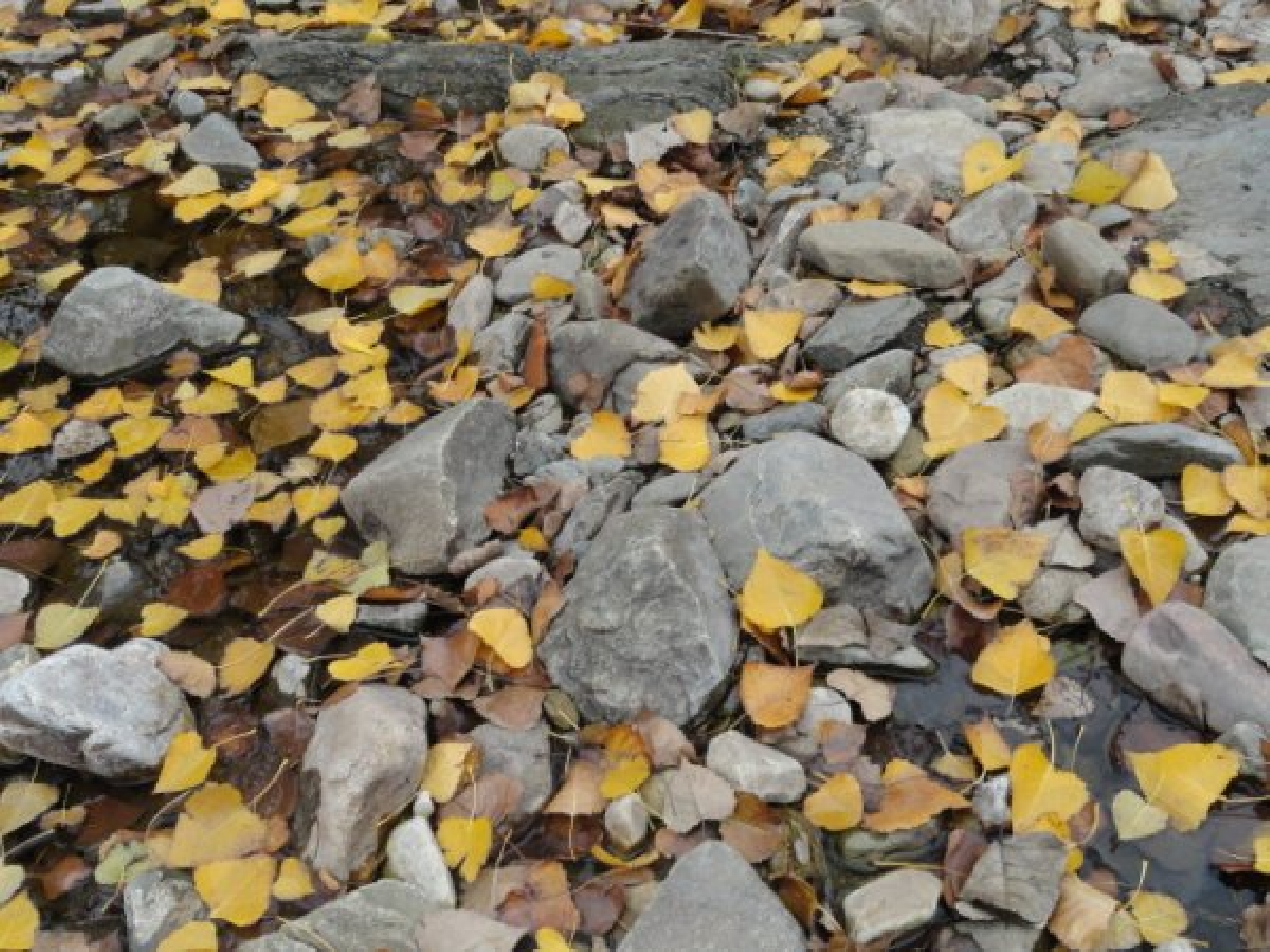 Fotos de Sierra de la Ventana