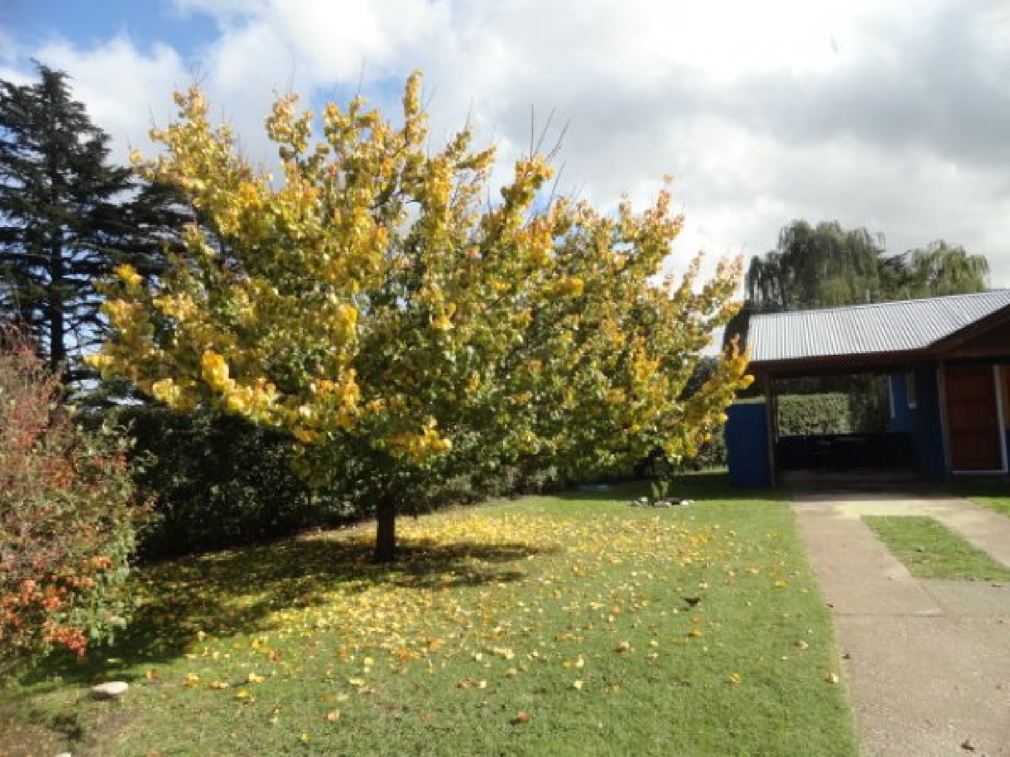 Fotos de Sierra de la Ventana