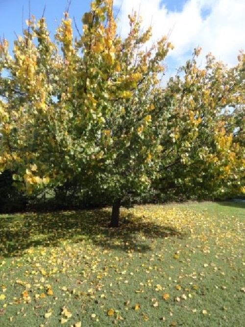 Fotos de Sierra de la Ventana