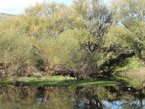 Fotos de Sierra de la Ventana