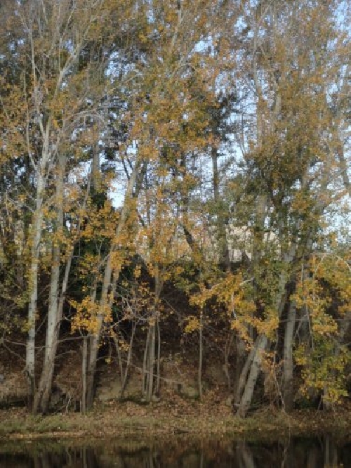 Fotos de Sierra de la Ventana
