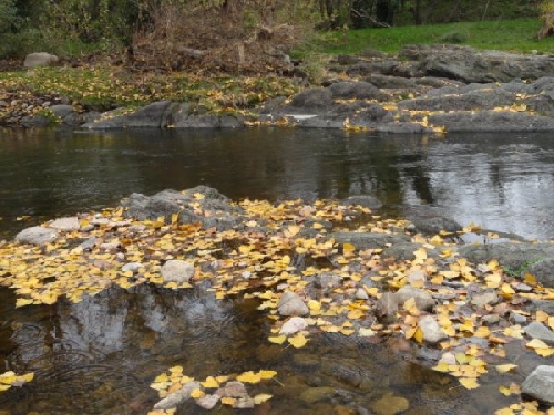 Fotos de Sierra de la Ventana