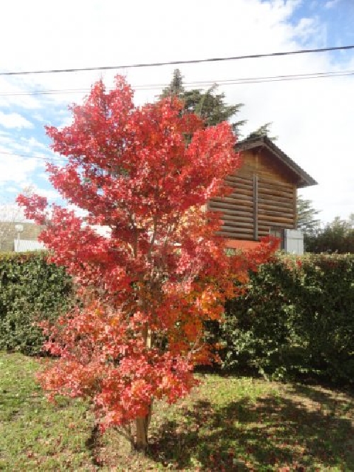 Fotos de Sierra de la Ventana