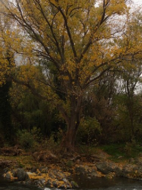 Fotos de Sierra de la Ventana