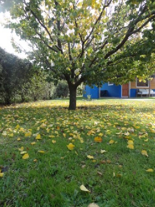 Fotos de Sierra de la Ventana