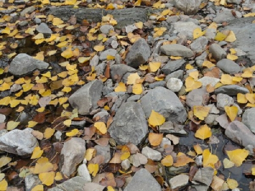 Fotos de Sierra de la Ventana